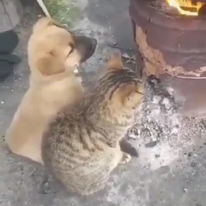 ।। सुविचार ।। #मुक्तामणियाँ 34's image