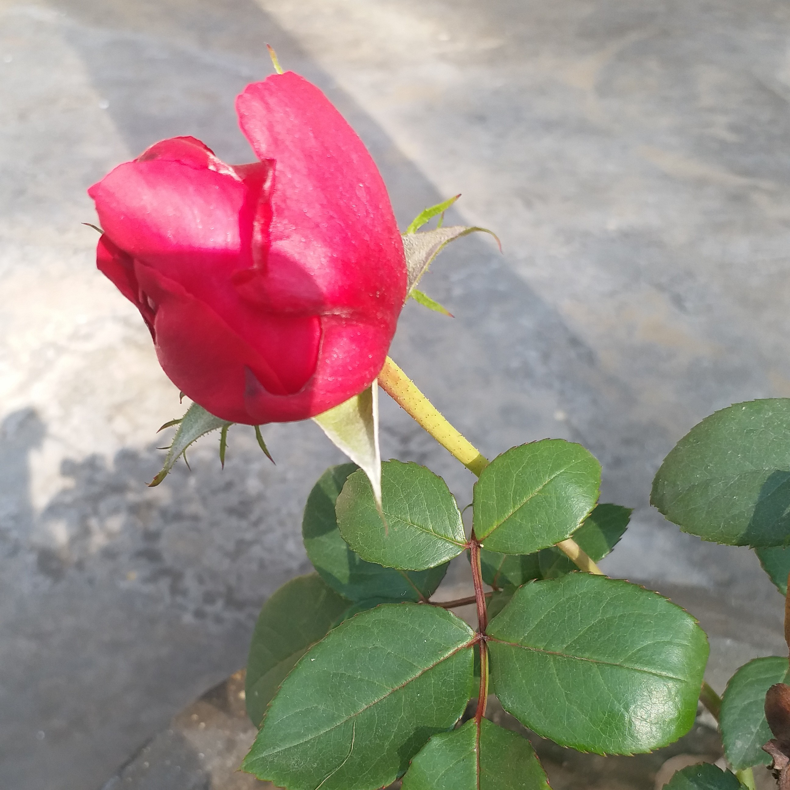 ।। सुविचार ।। #मुक्तामणियाँ 51's image