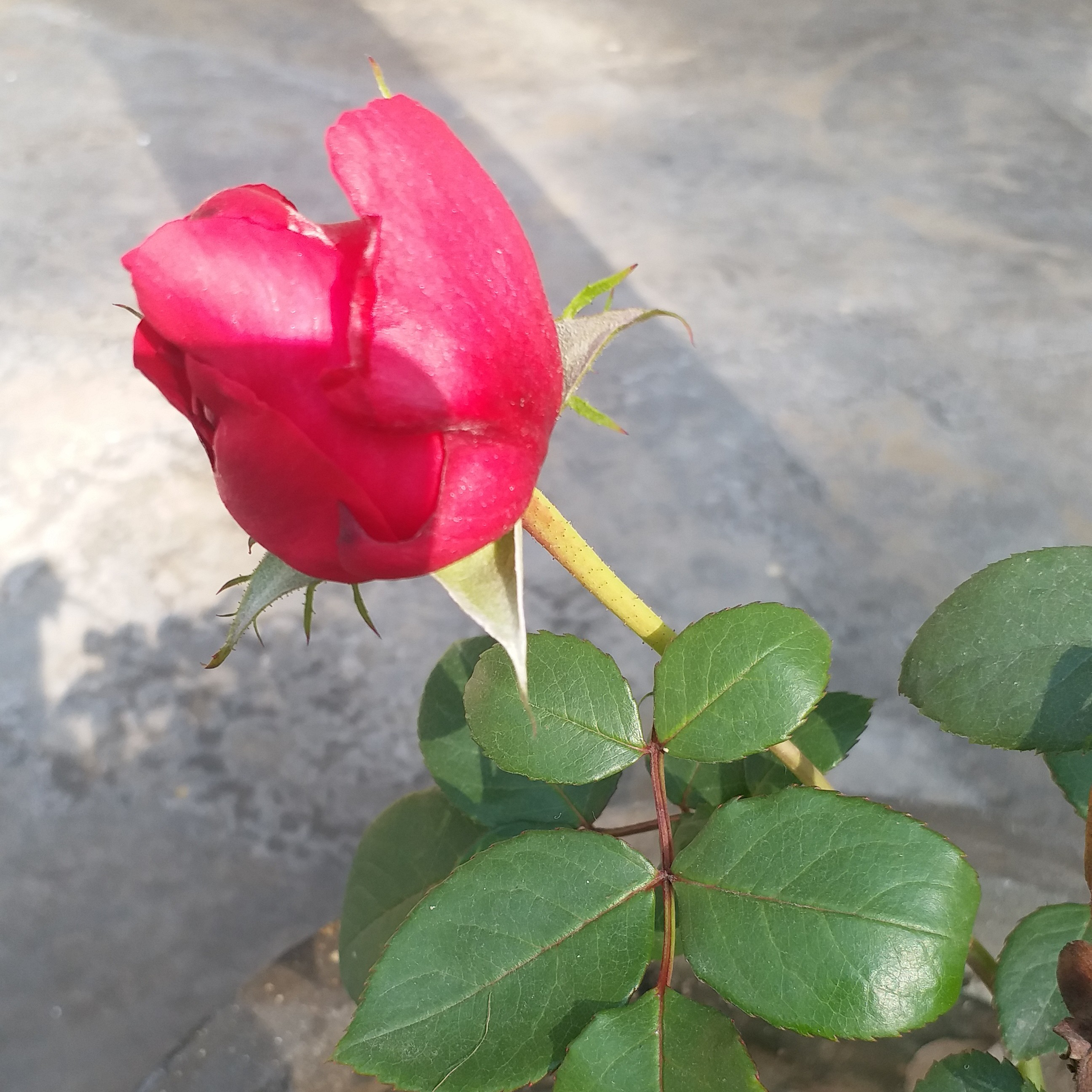 ।। सुविचार ।। #मुक्तामणियाँ 54's image