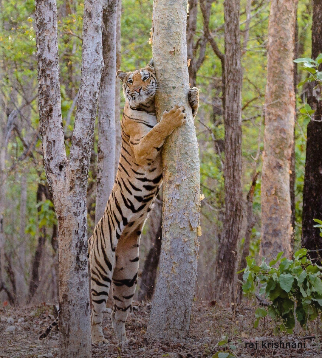 ।। सुविचार ।। #मुक्तामणियाँ 79's image