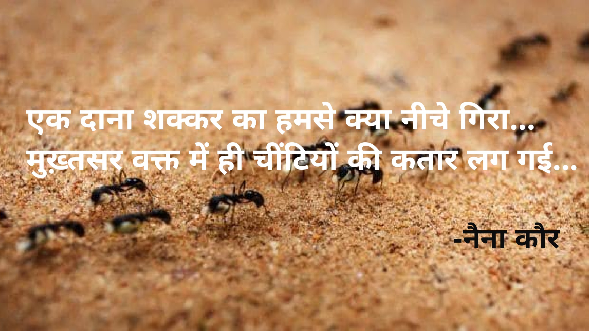 एक दाना शक्कर का