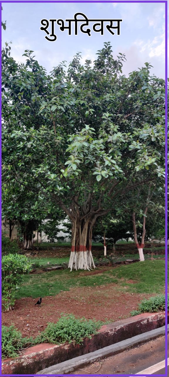 मुसाफ़िर