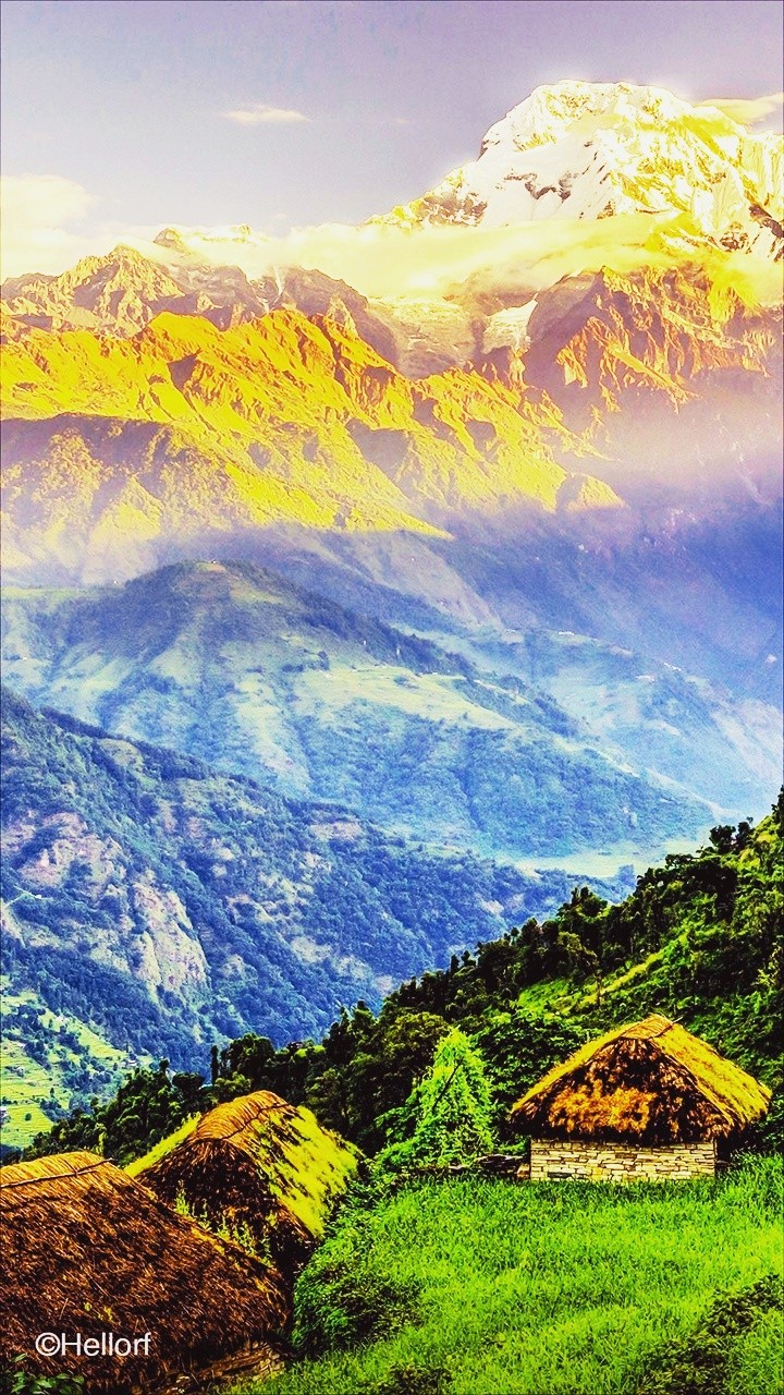 विश्व संगीत दिवस