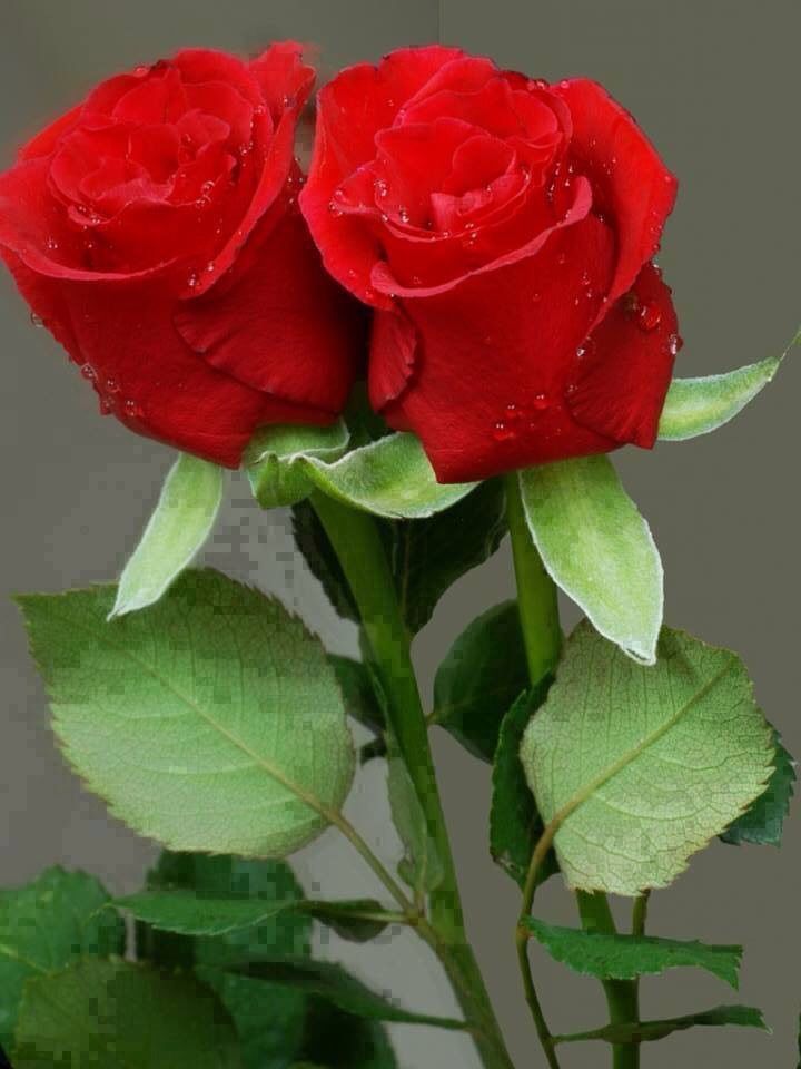 प्यार का गणित's image