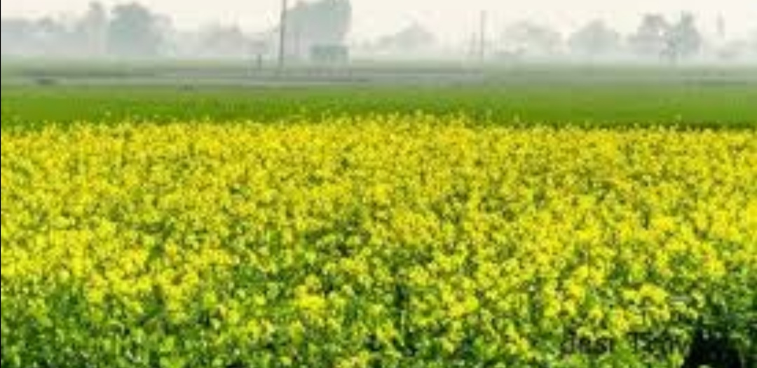 वसंत का अवशेष