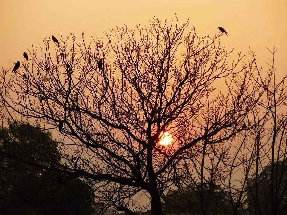 ख़्वाब's image