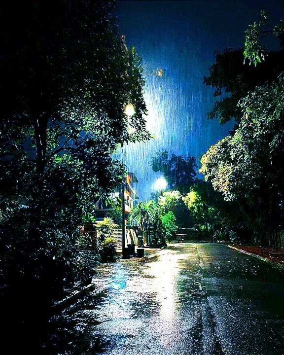 बारिशें और मोहब्बत's image