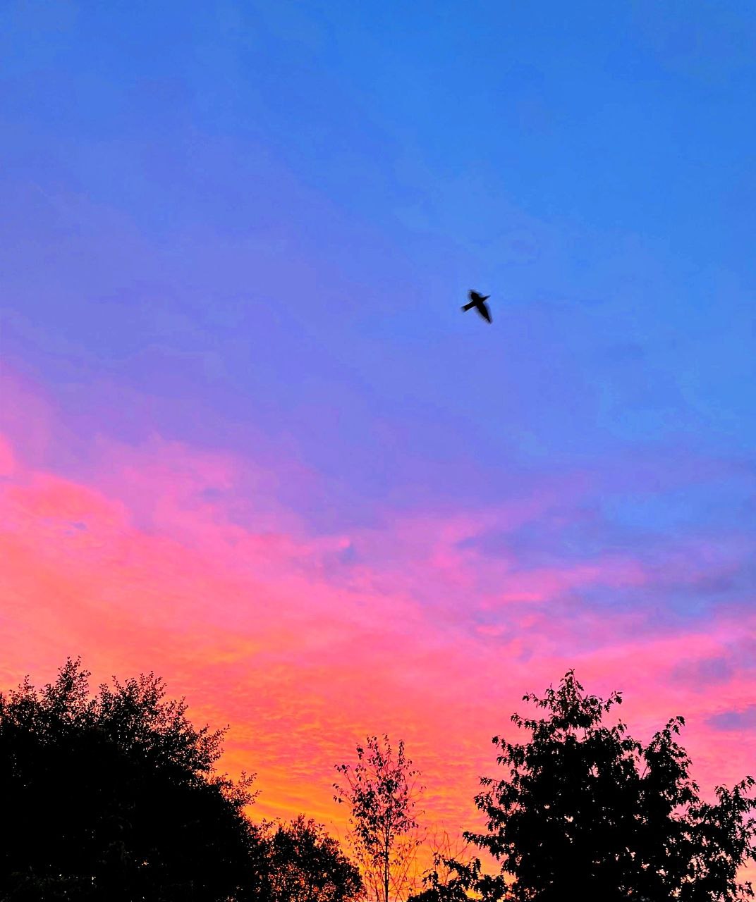 मै बुरा हूँ !'s image