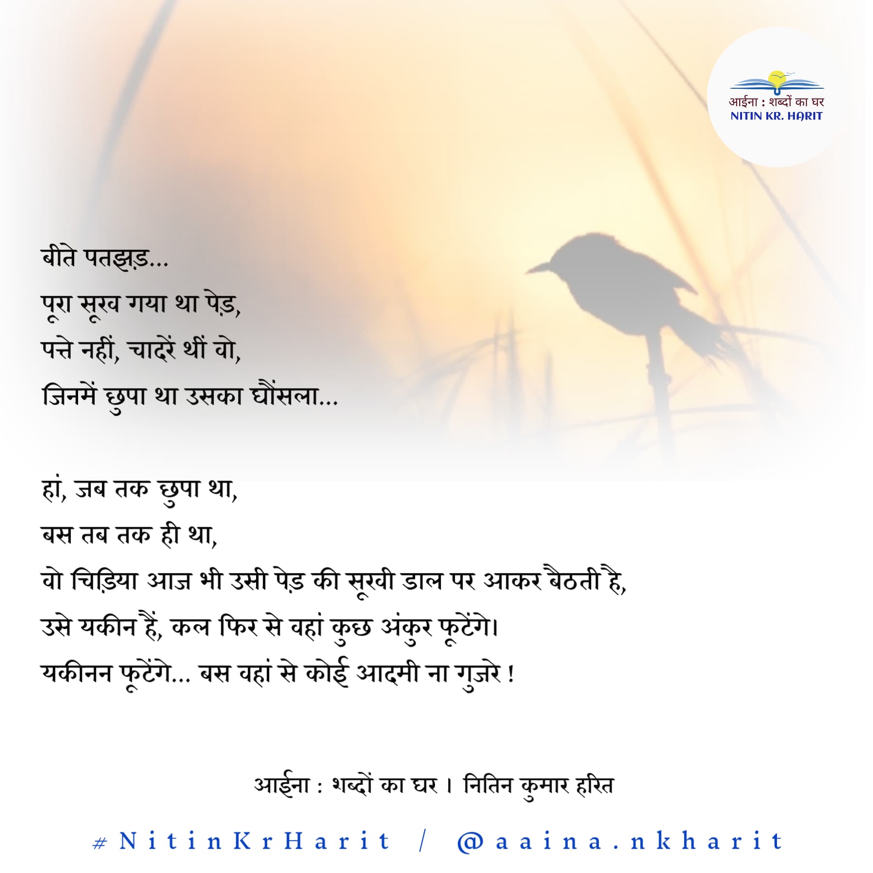 चिड़िया और सूखा पेड़'s image