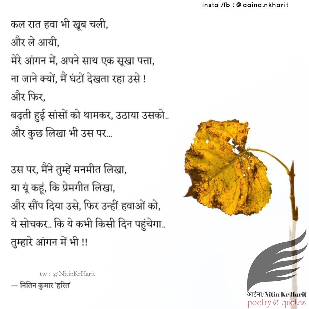 सूखा पत्ता
