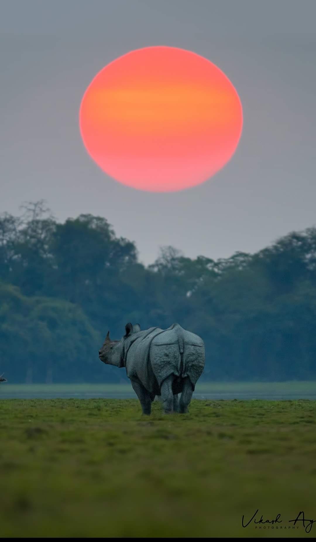 प्रलय का सूर्य