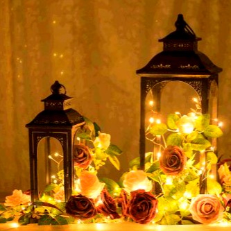 सुबह की नयी शुरुआत's image