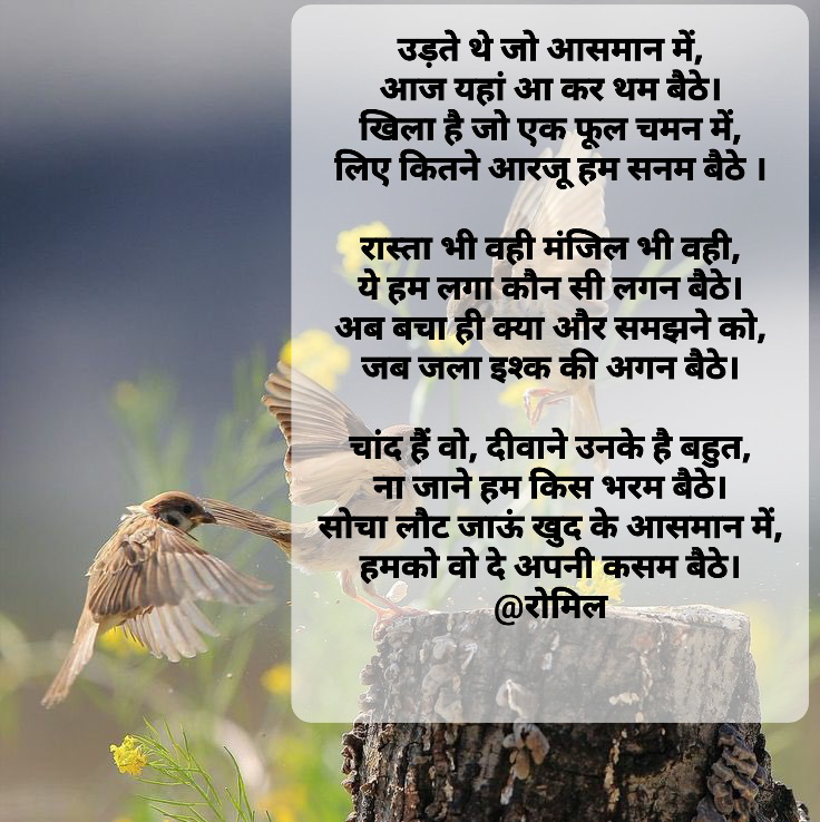 लिए आरजू सनम बैठे's image