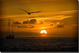 ढलती उम्र और ढलता सूरज's image