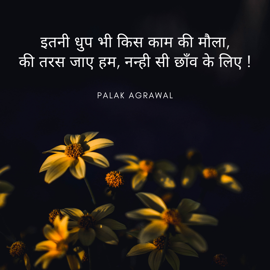 धुप - छाँव's image