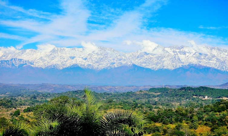 वो तस्वीर तुम्हारी है