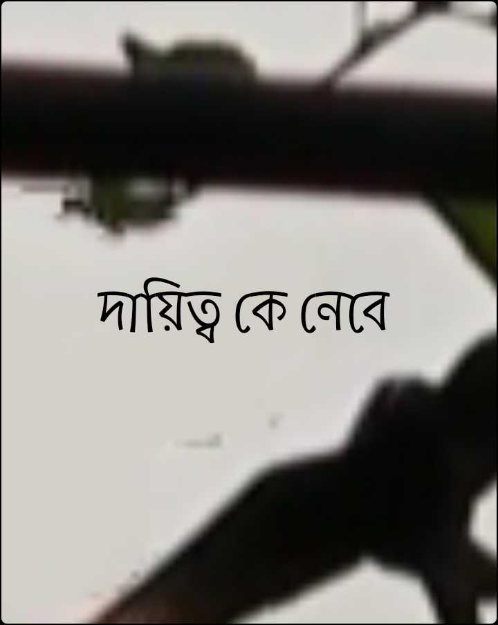 দায়িত্ব কে নেবে's image