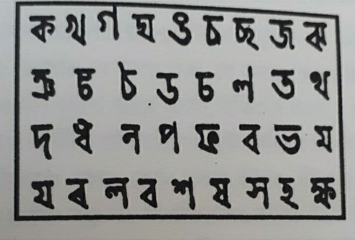 ফুলমনির কৃতজ্ঞতা's image