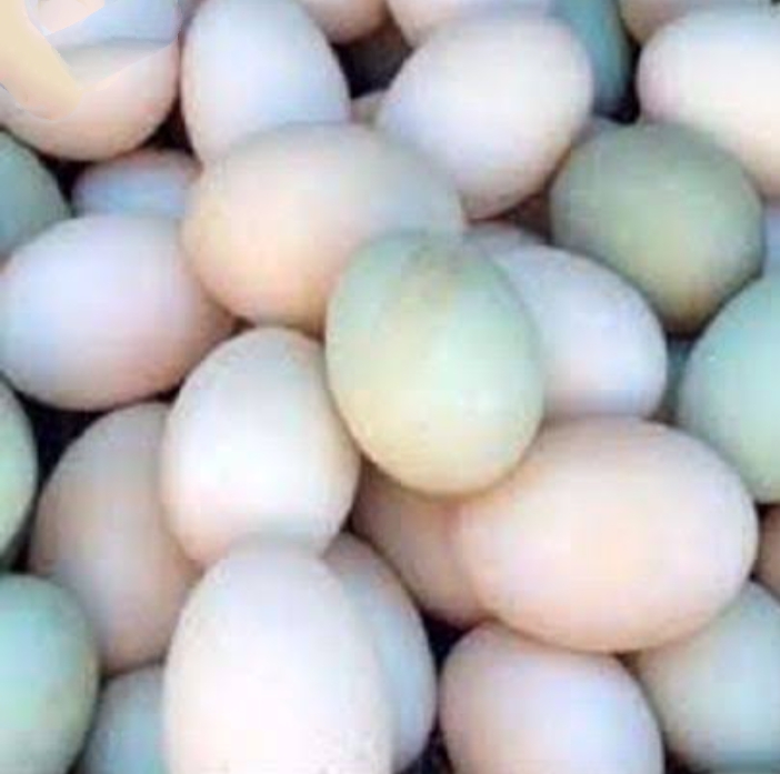 রন্ধনশালা's image