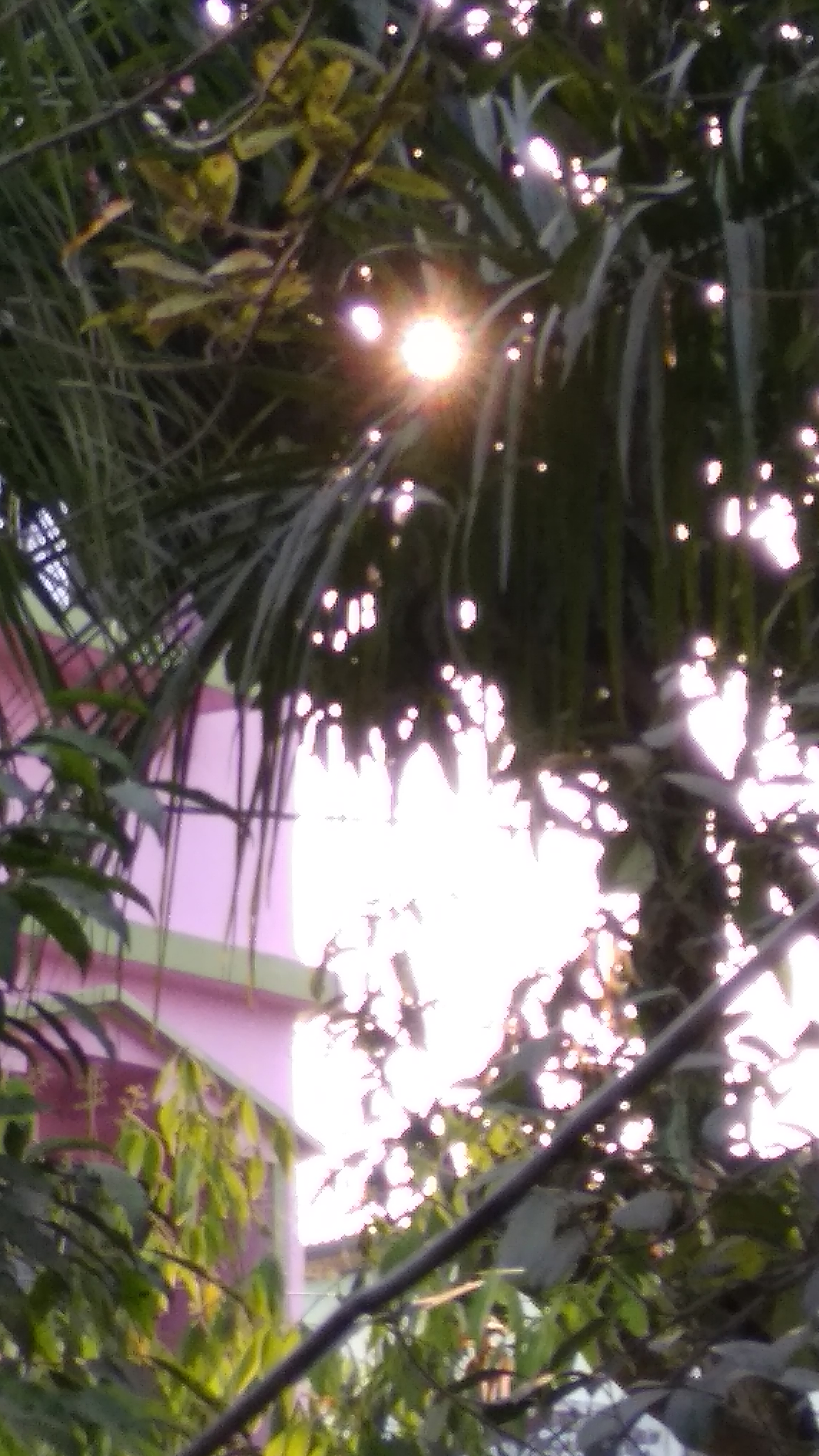 একুশের ভাই's image