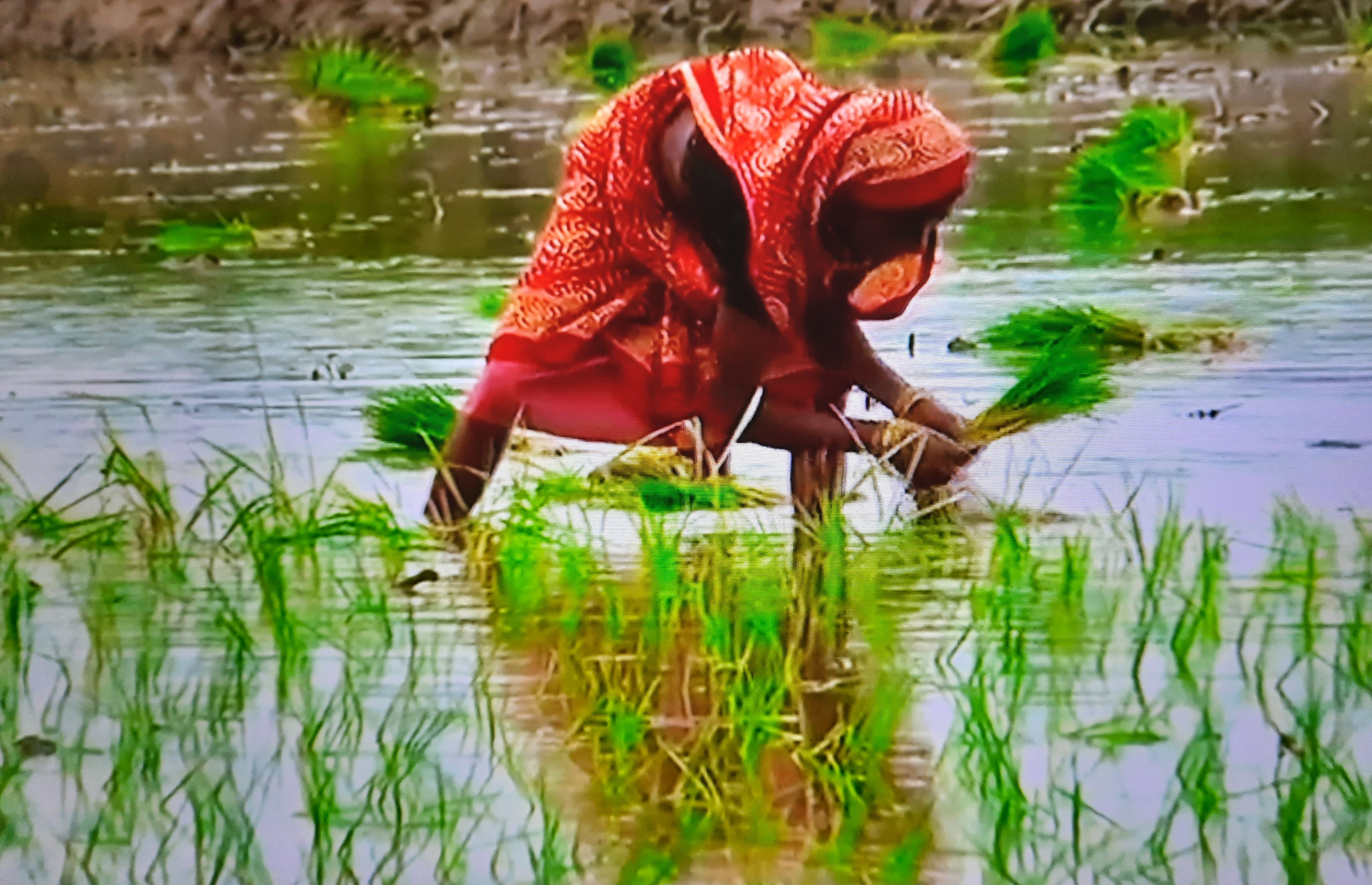 'गयी रात जो देखे सपने टूट गए कमसिन'