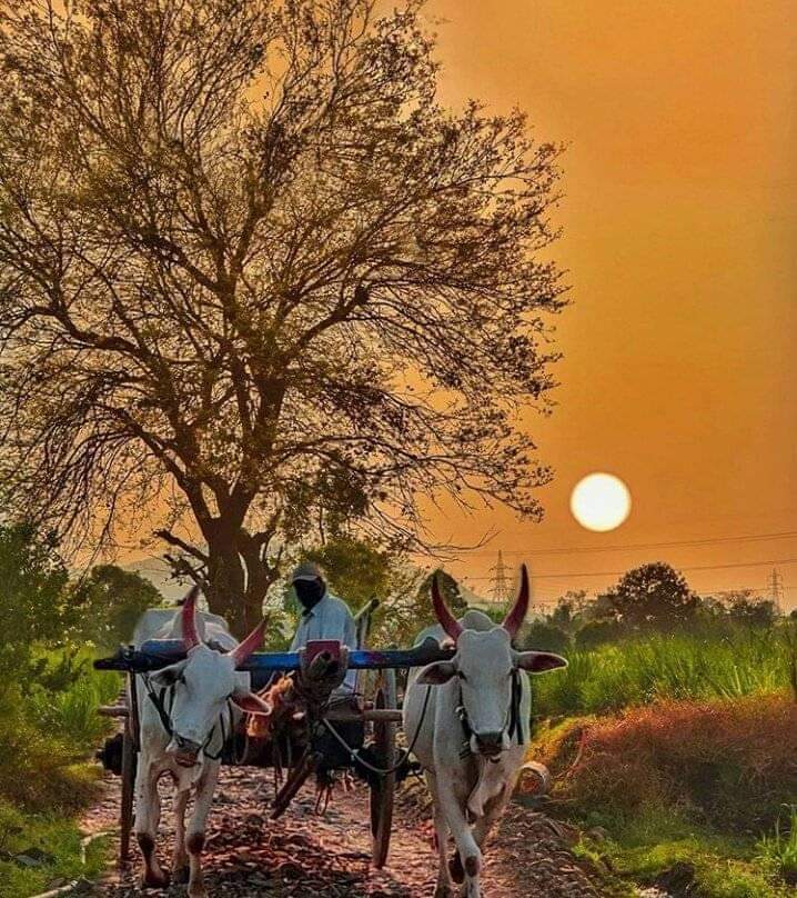 हैं तुम्हें अर्पित समय की वन्दनाऐं.....