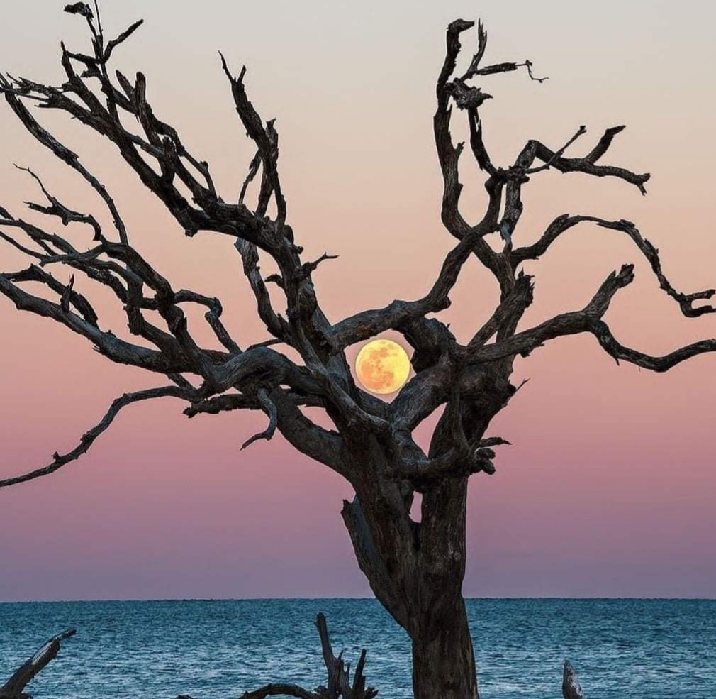 देर तक गीतों को सुनना...उनमें ही फ़िर स्वप्न बुनना's image