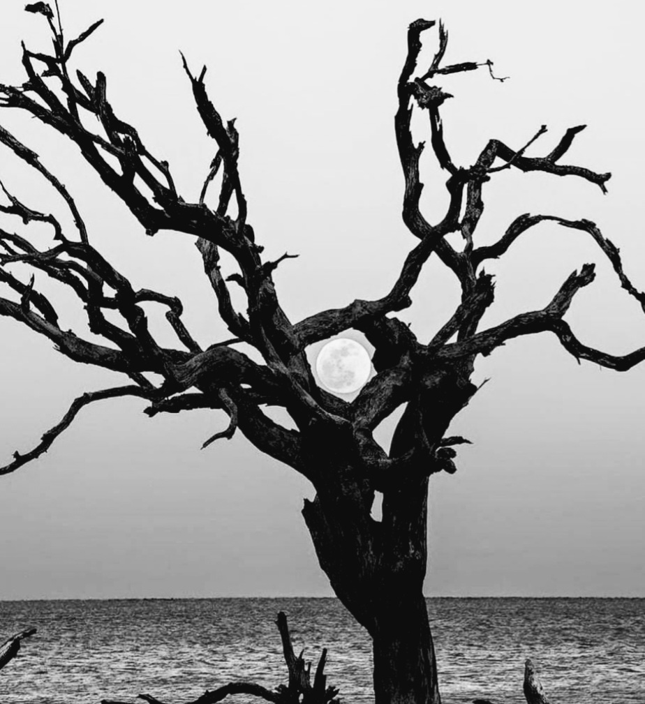 'चुनाव की बरसात में तटबंध तोड़कर....''s image