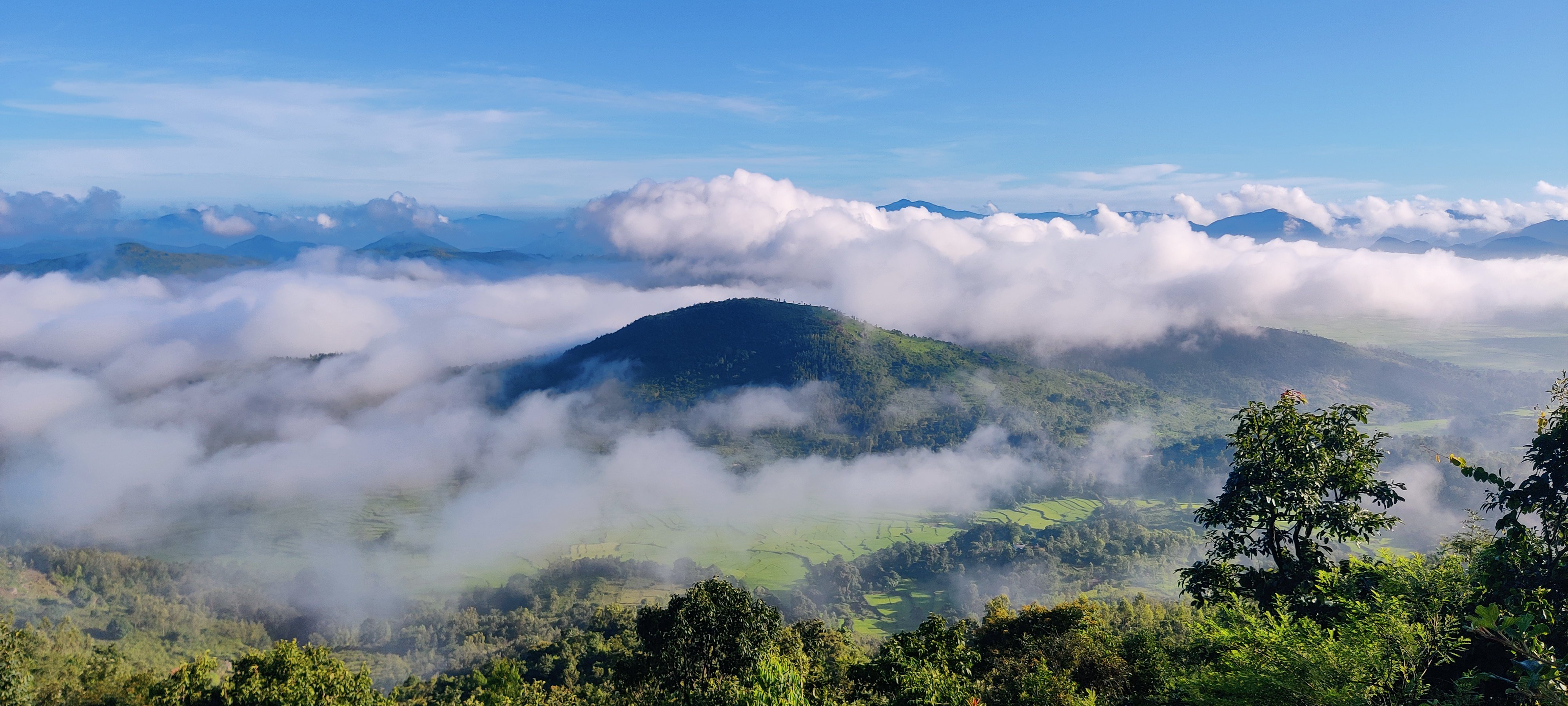 In the wilderness of heart's image