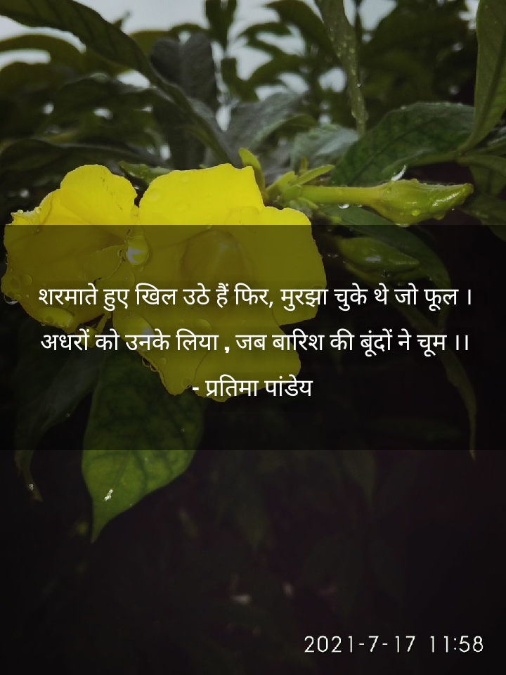 खिल उठे हैं फिर ।