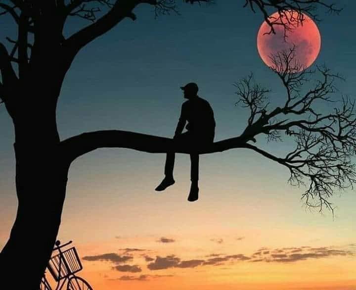 एक शाम खुद के नाम✍️