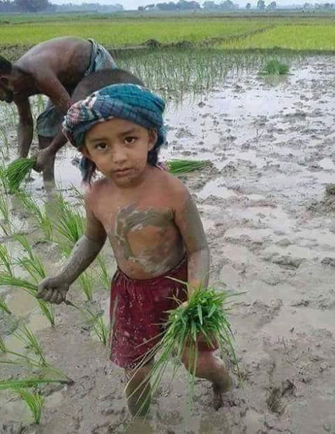 वीरता की गाथा
