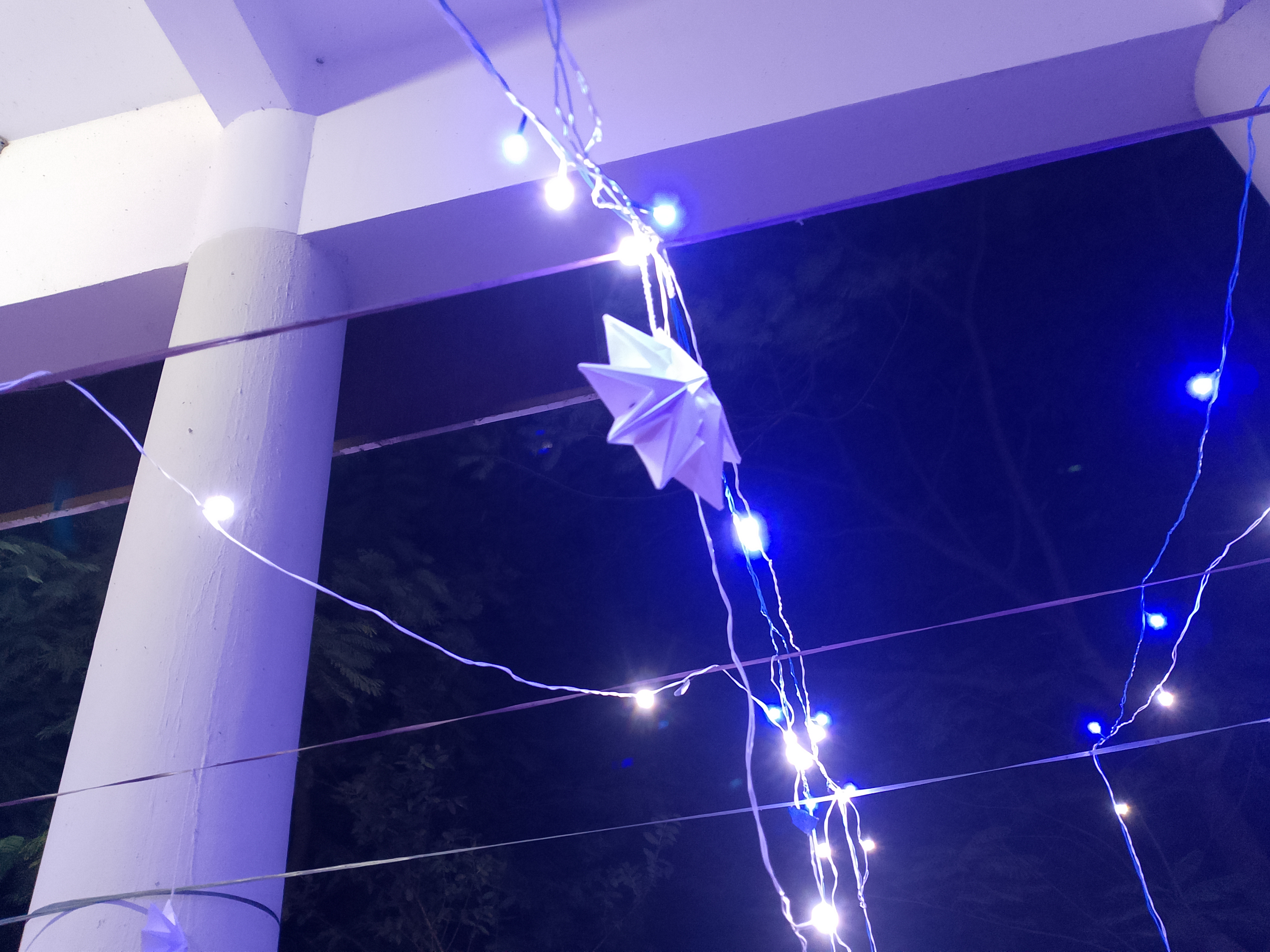 Stranger from a distant land's image