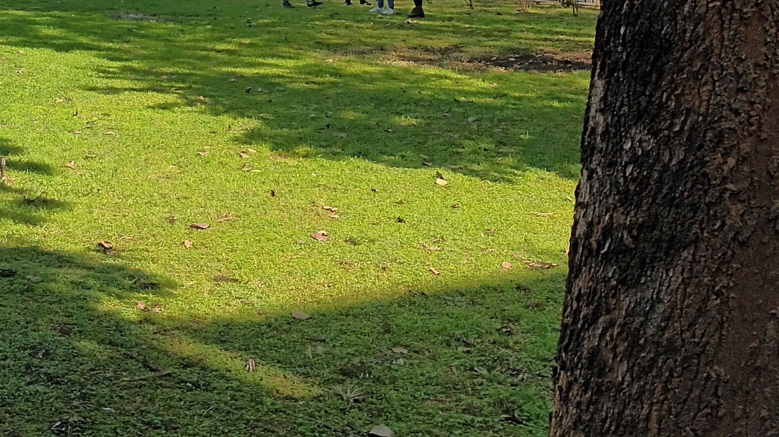 वो आए तो उसे मेरा किस्सा सुनाना
कहना उसके हाथों मे कलम थी
कहना ज़ख्म लिखता रहता था।
वो आए तो...'s image