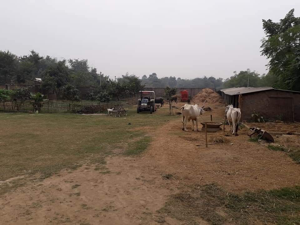 गाँव शहर