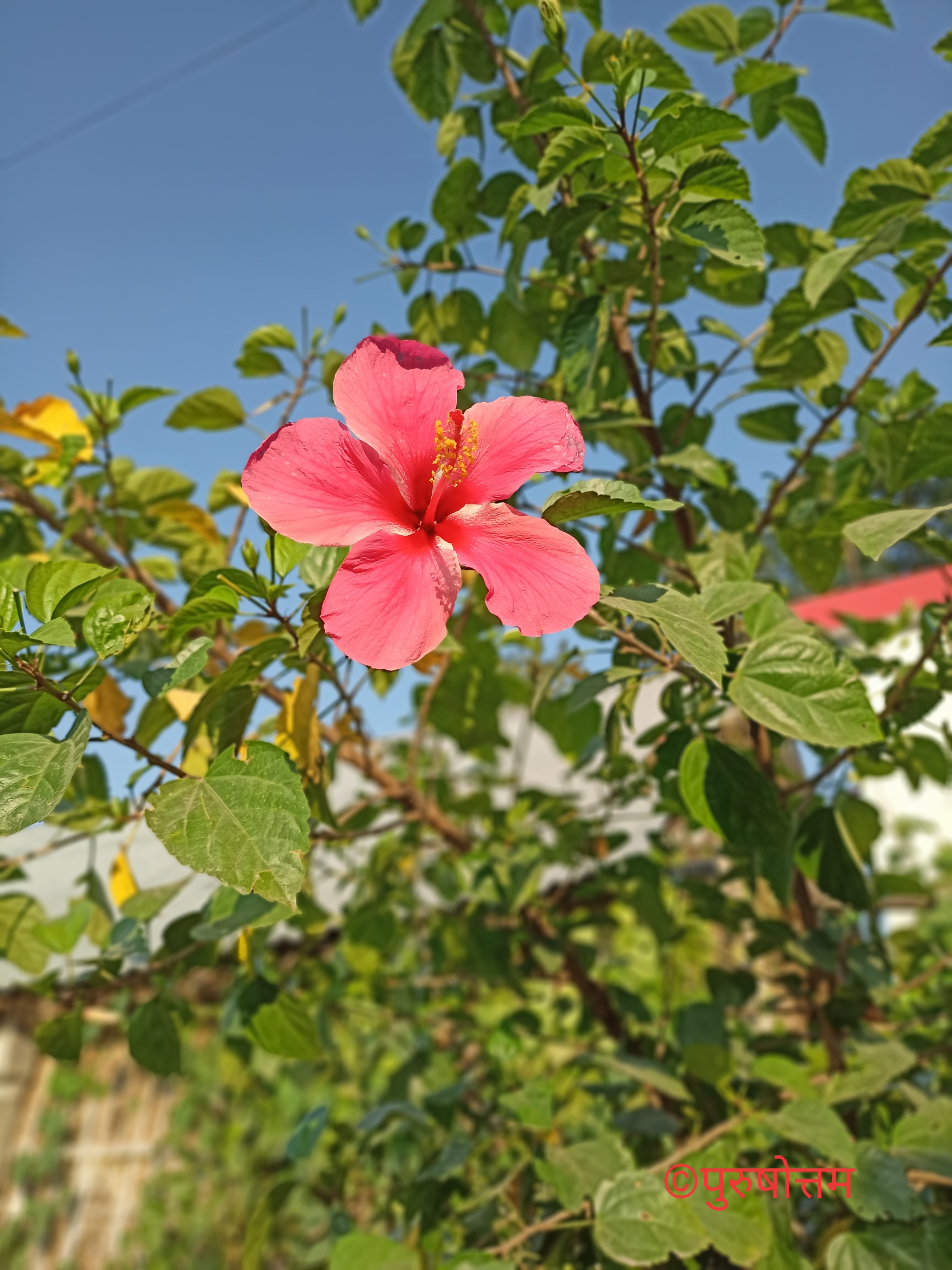 देखे हरदम तिरछी नजरें