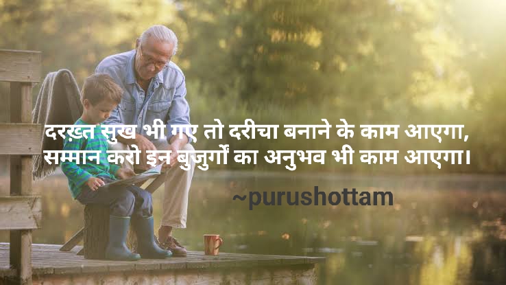 दरख़्त सुख भी गए तो दरीचा बनाने के काम आएगा