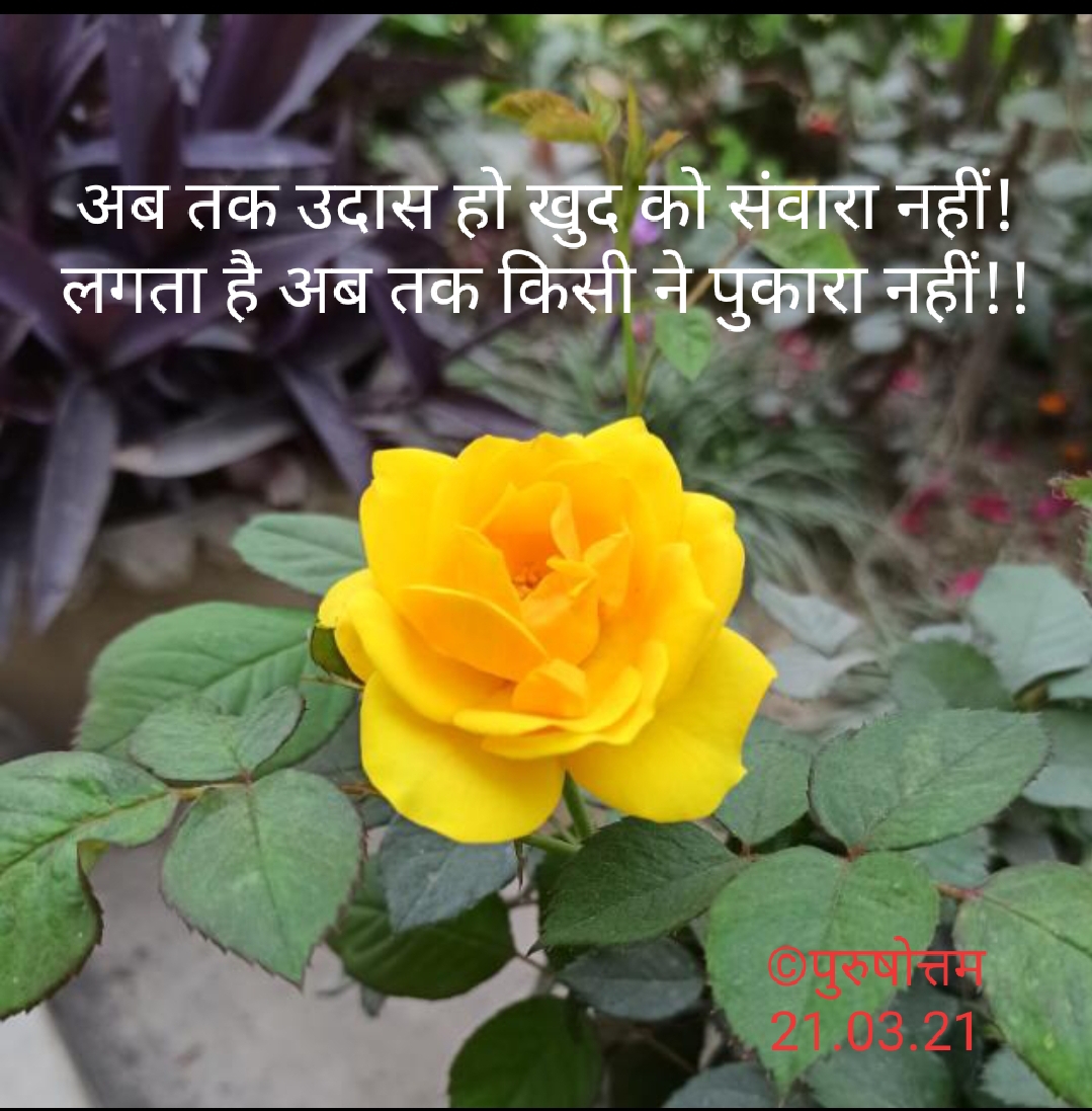 अब तक उदास हो