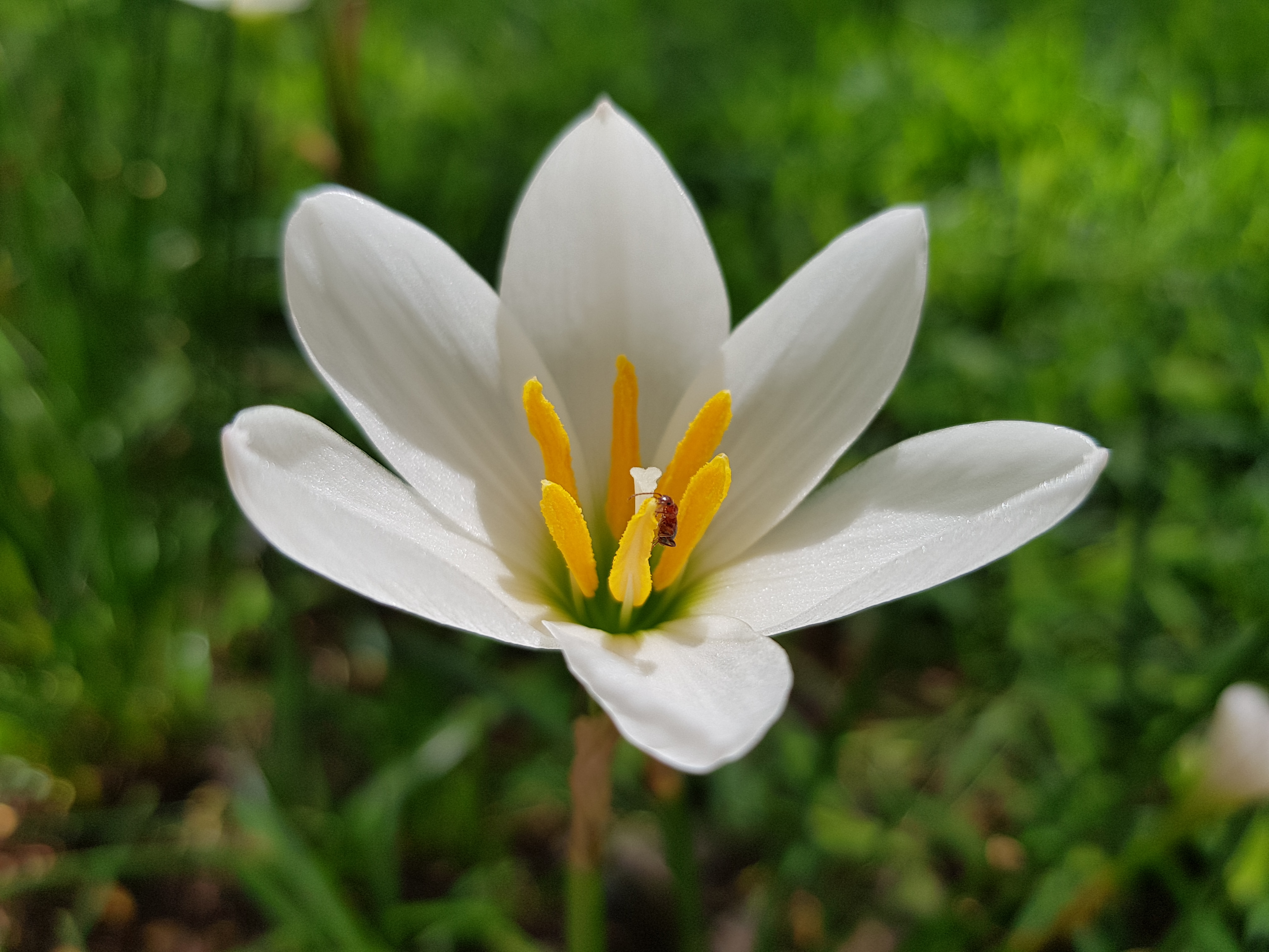 The Divine Quest's image