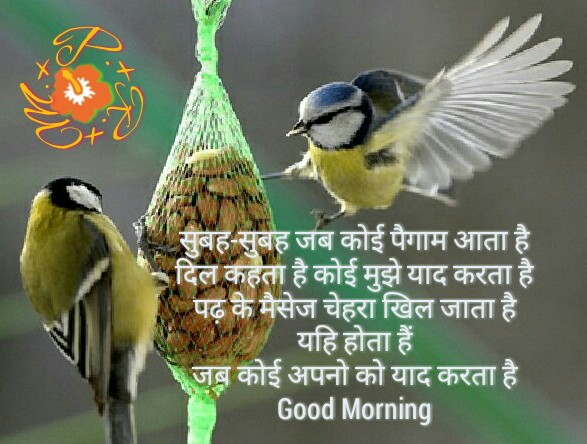 किसका सिकवा