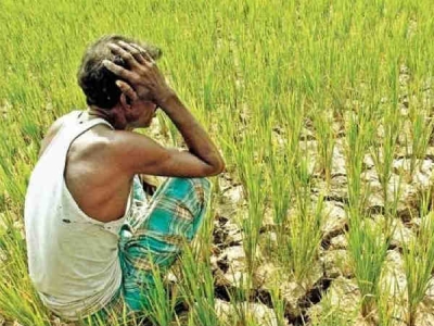 कार में कृषक चलें