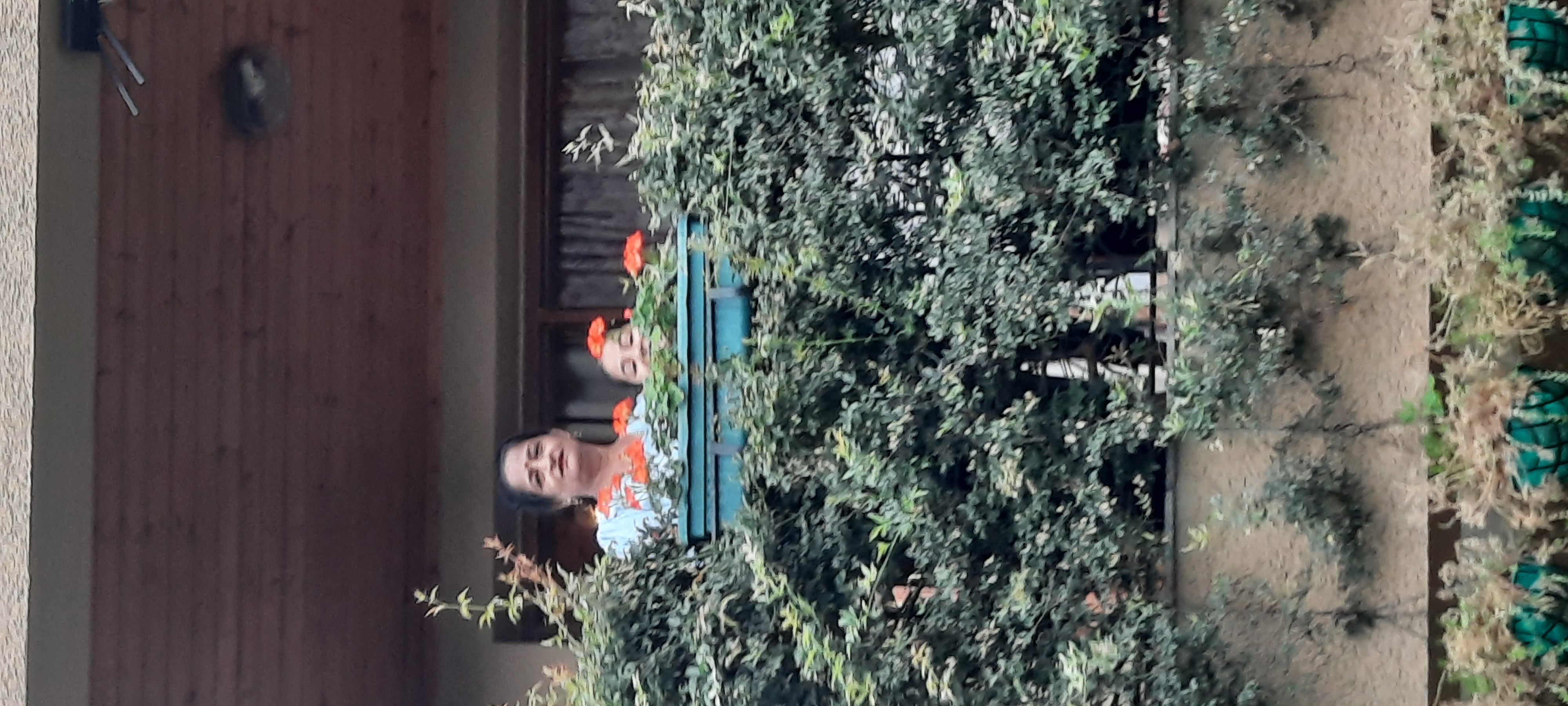 वादा फ़रामोशी  ' हैरान ''s image