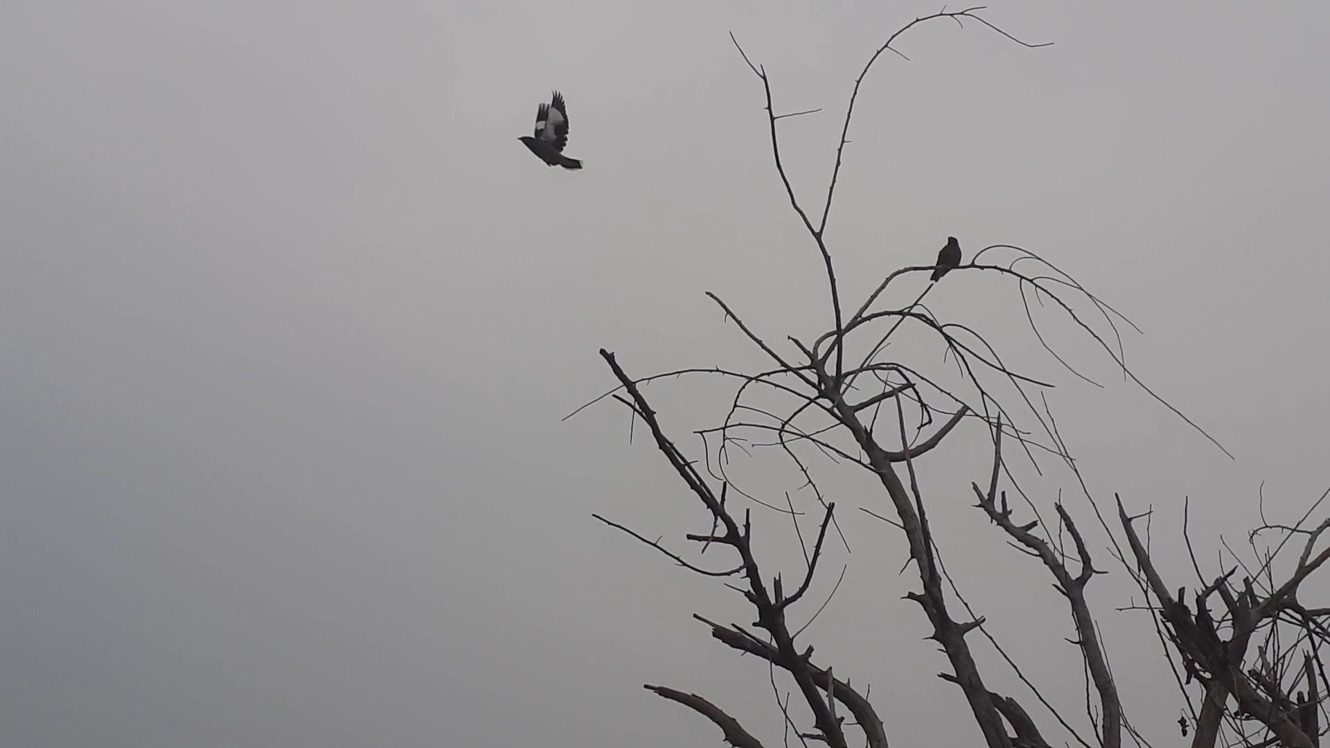 प्यार क्या होगा's image