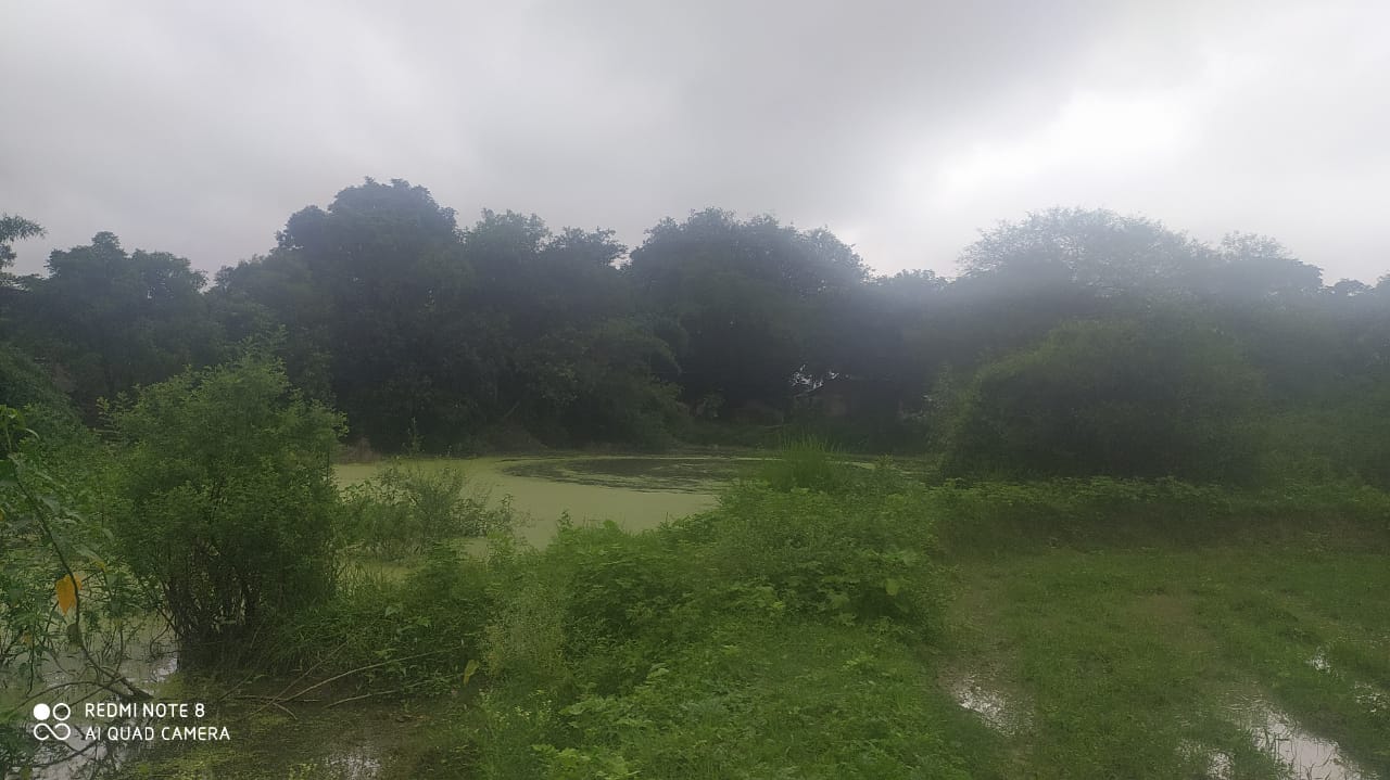 लगाव