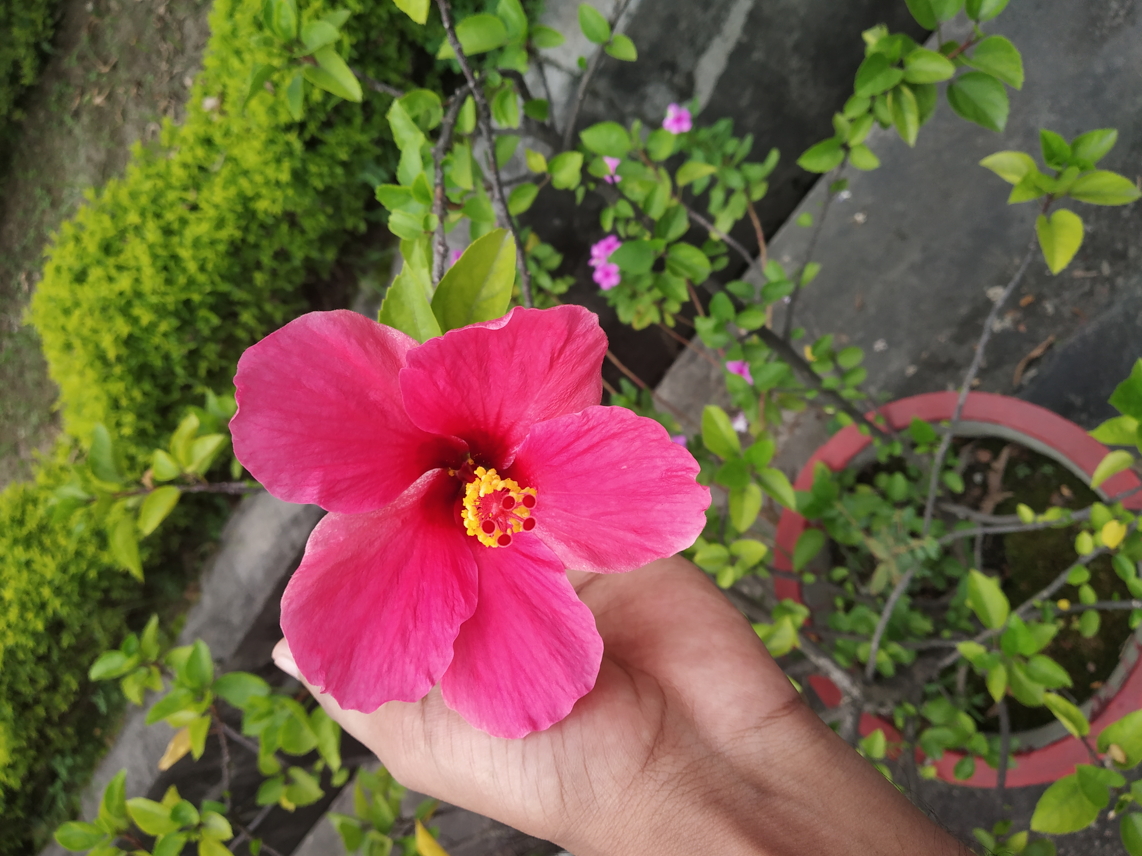 तुम्हे लिखना