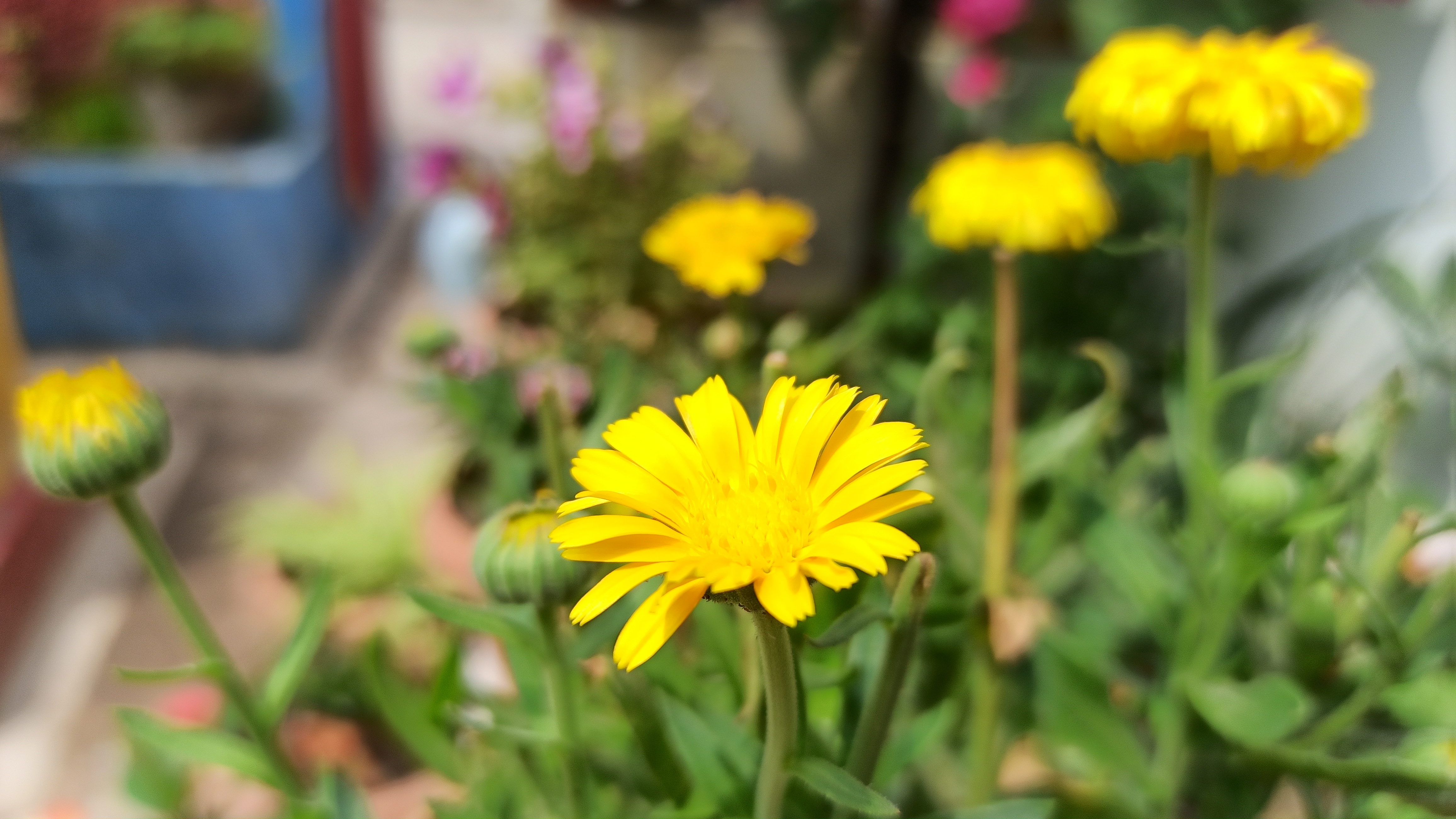 आ लौट चलें's image