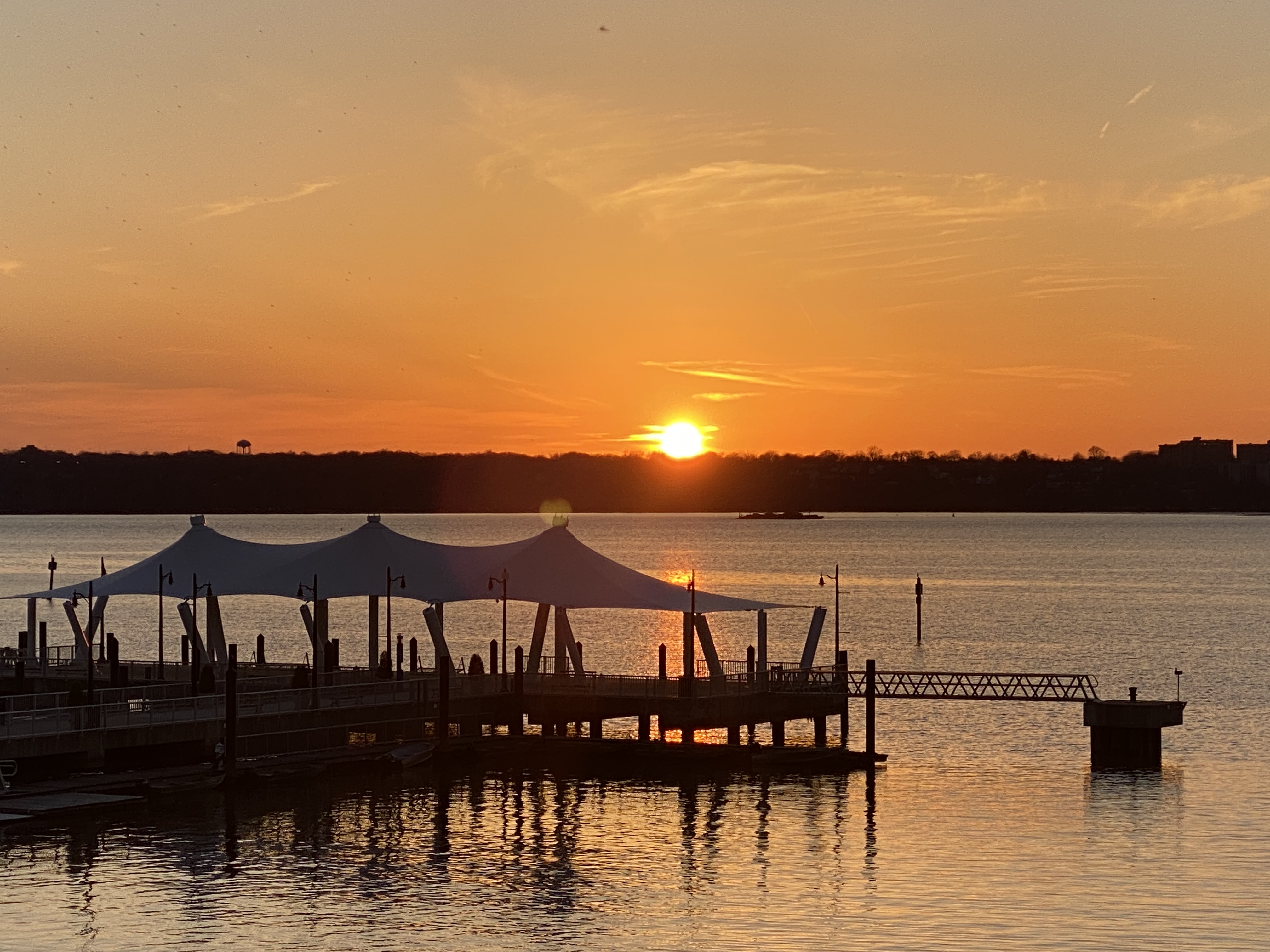 मन  [ Mann]'s image