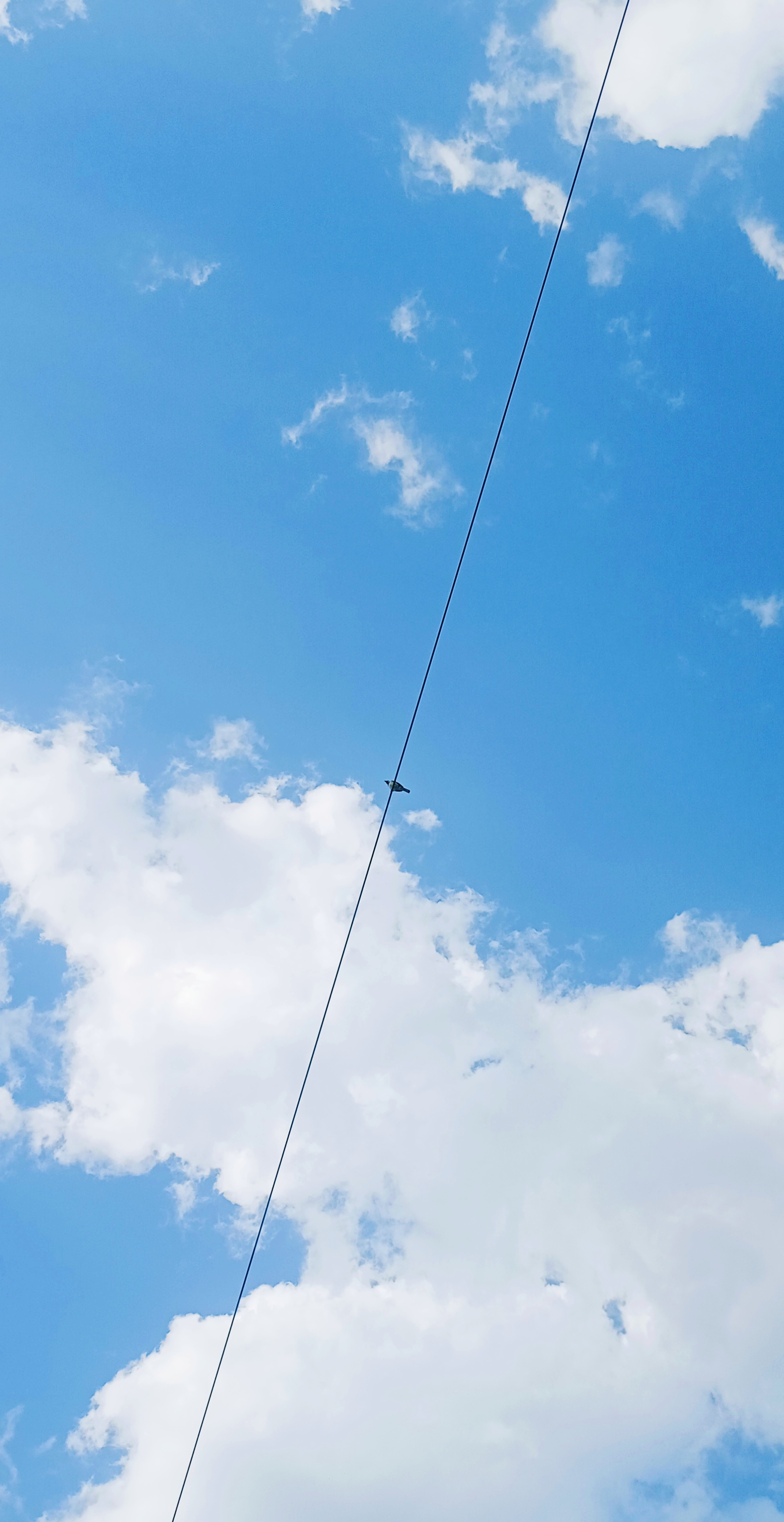 आसं विहंगाची's image