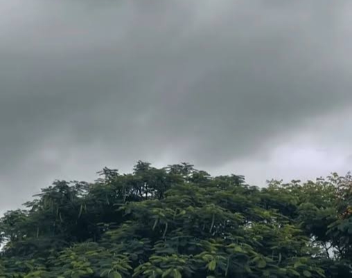 उम्र's image