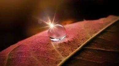 2024 मशरूफियों में जिंदगी's image